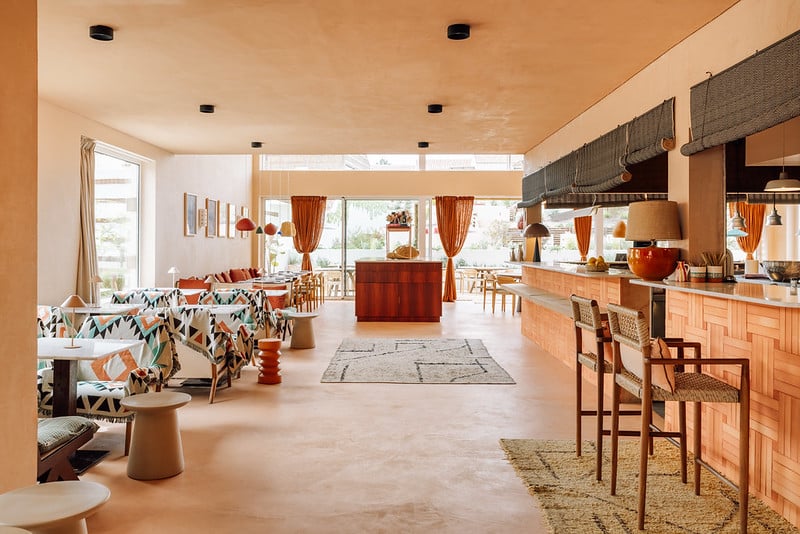 53780674332_7154ace49d_c