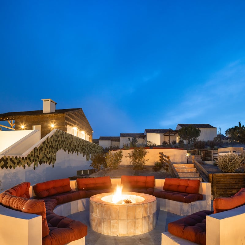 53781933914_072fae1406_c