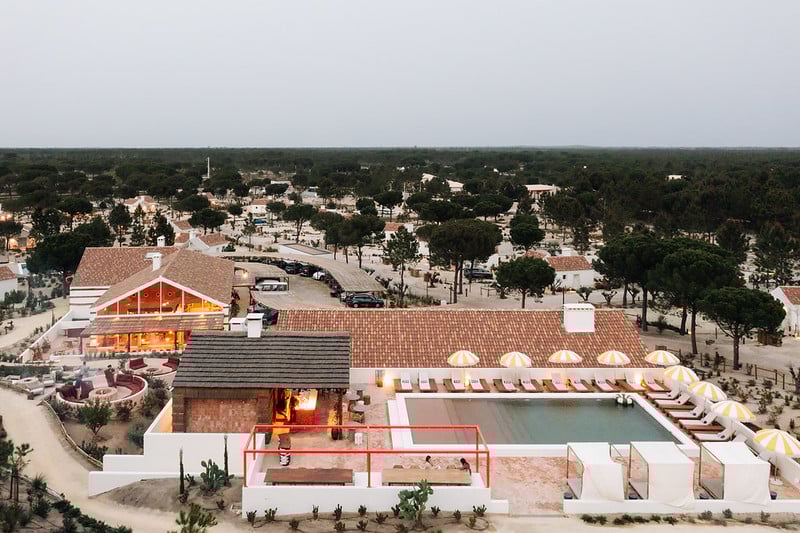 53782032010_825580230d_c